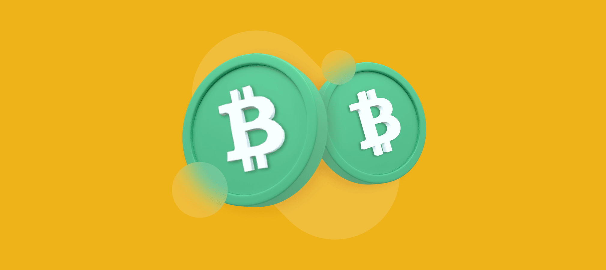 What Is Bitcoin Cash?