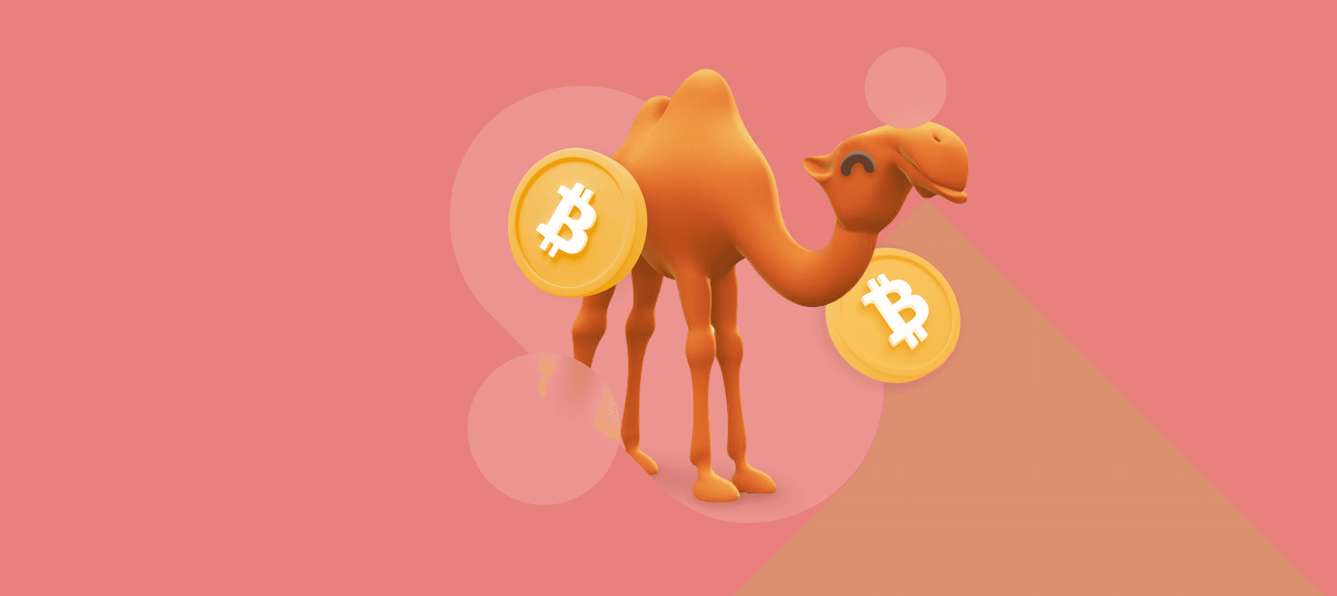 Crypto In UAE